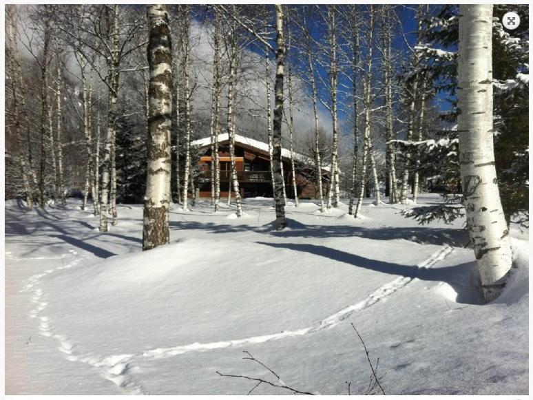 Chalet Champraz - Free Parking Chamonix Dış mekan fotoğraf