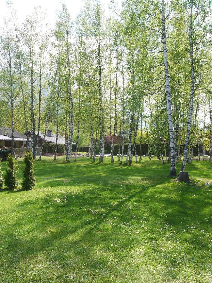 Chalet Champraz - Free Parking Chamonix Dış mekan fotoğraf
