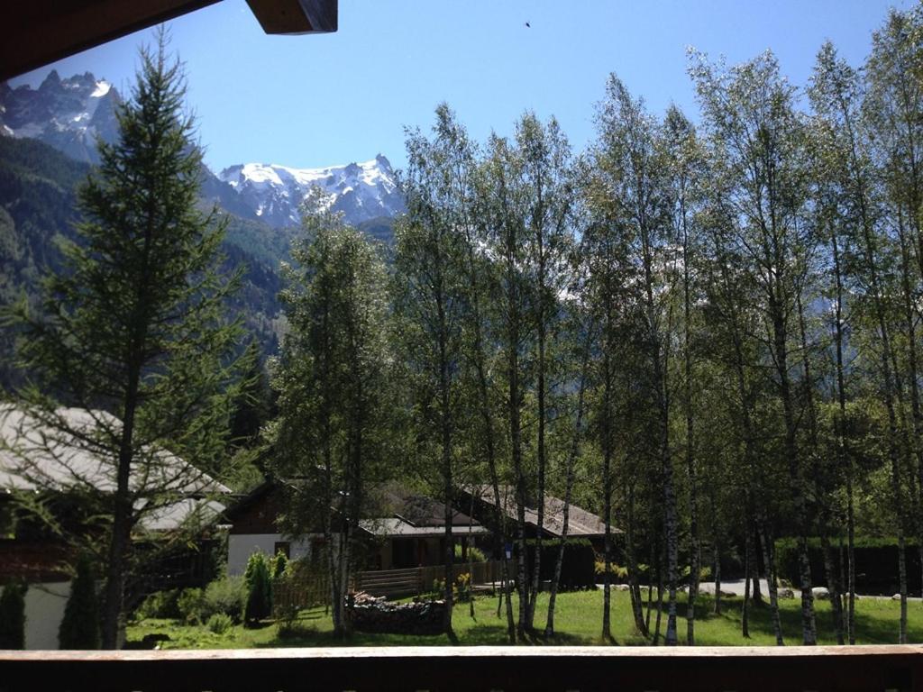 Chalet Champraz - Free Parking Chamonix Dış mekan fotoğraf